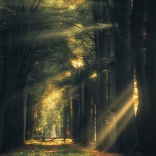 Схема вышивки «Пейзаж»