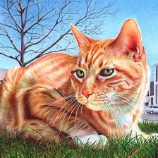 Схема вышивки «кот»