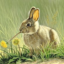 Схема вышивки «заяц»