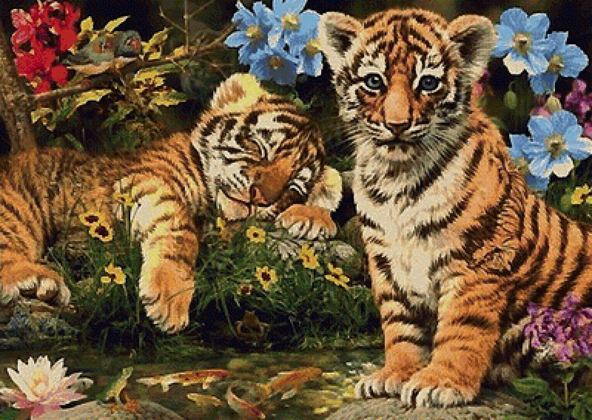 тигрята - мир животных - предпросмотр