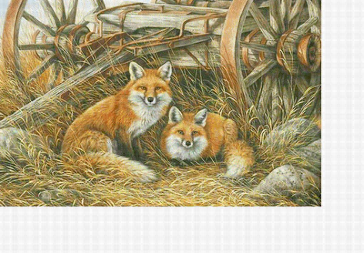 Лисички - животные, звери - предпросмотр