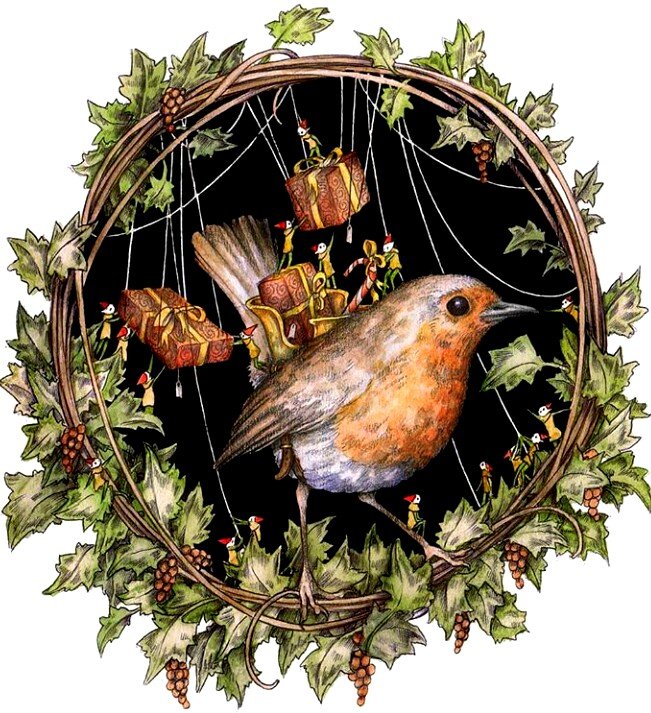 Сказочные иллюстрации Adam Oehlers - птичка виноградная лоза рождество подарки - оригинал