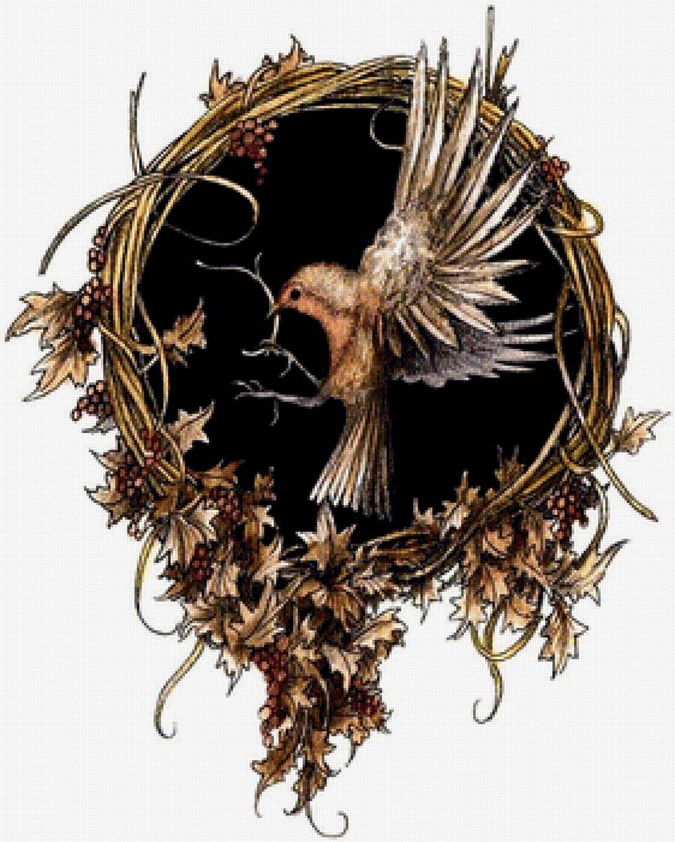 Сказочные иллюстрации Adam Oehlers - птичка с веточкой виноградная лоза - предпросмотр