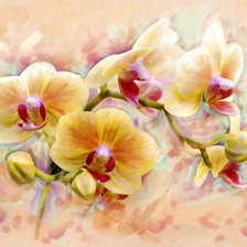 Схема вышивки «Орхидея»