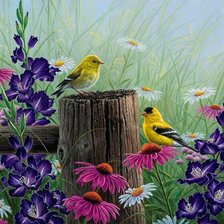 Схема вышивки «Птички»