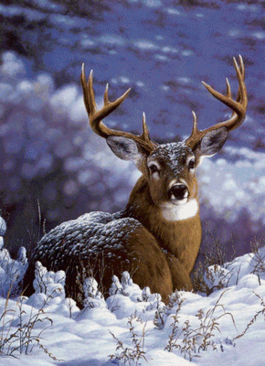 Олень - зима, животные, снег, лес, олени, природа - предпросмотр