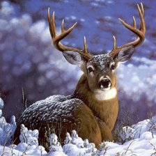 Схема вышивки «Олень»