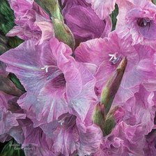 Схема вышивки «ГЛАДИОЛУСЫ»