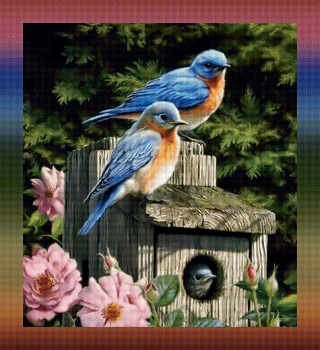 Птицы - скворечник яркие птицы - предпросмотр