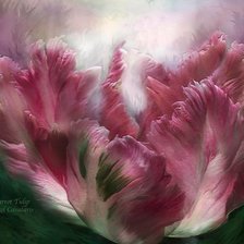 Схема вышивки «ТЮЛЬПАН»