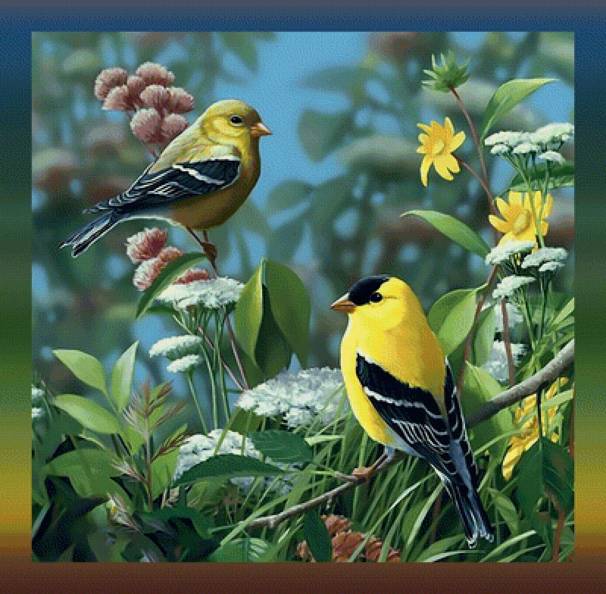 Птицы - птицы весна природа - предпросмотр