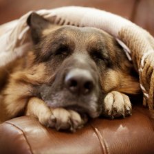 Схема вышивки «Спящий малыш»