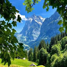 Схема вышивки «505»