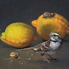 Схема вышивки «№1924254»