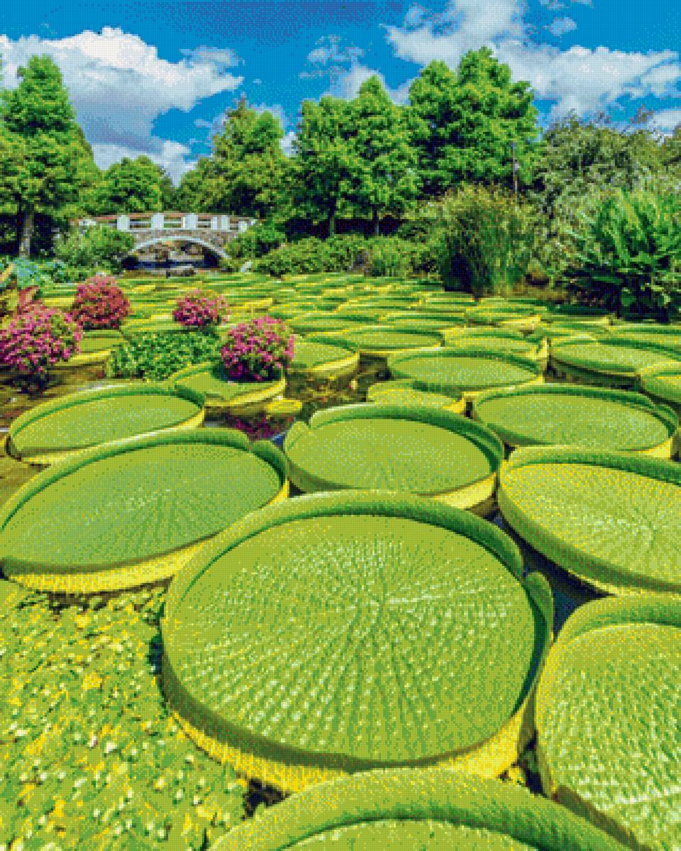 506 - предпросмотр