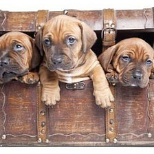 Схема вышивки «№1924758»