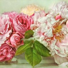 Схема вышивки «РОЗЫ»