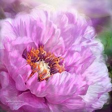 Схема вышивки «ПИОН»