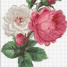 Схема вышивки «Розы»