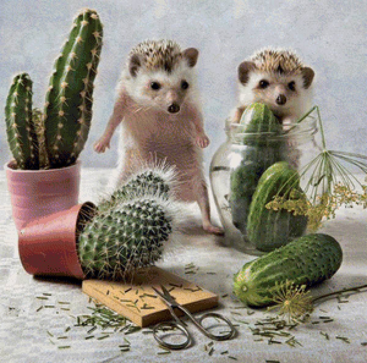 Тайная жизнь ёжиков2 - ежики кактусы - предпросмотр