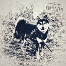 Схема вышивки «Неко 10 цветов»