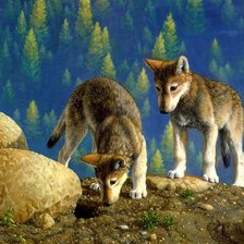 Схема вышивки «Волчата»