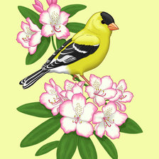 Схема вышивки «Птичка»