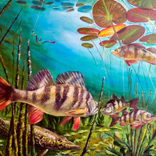 Схема вышивки «Щука в засаде (Anchor)»