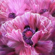 Схема вышивки «МАКИ»