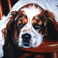 Схема вышивки «собака»