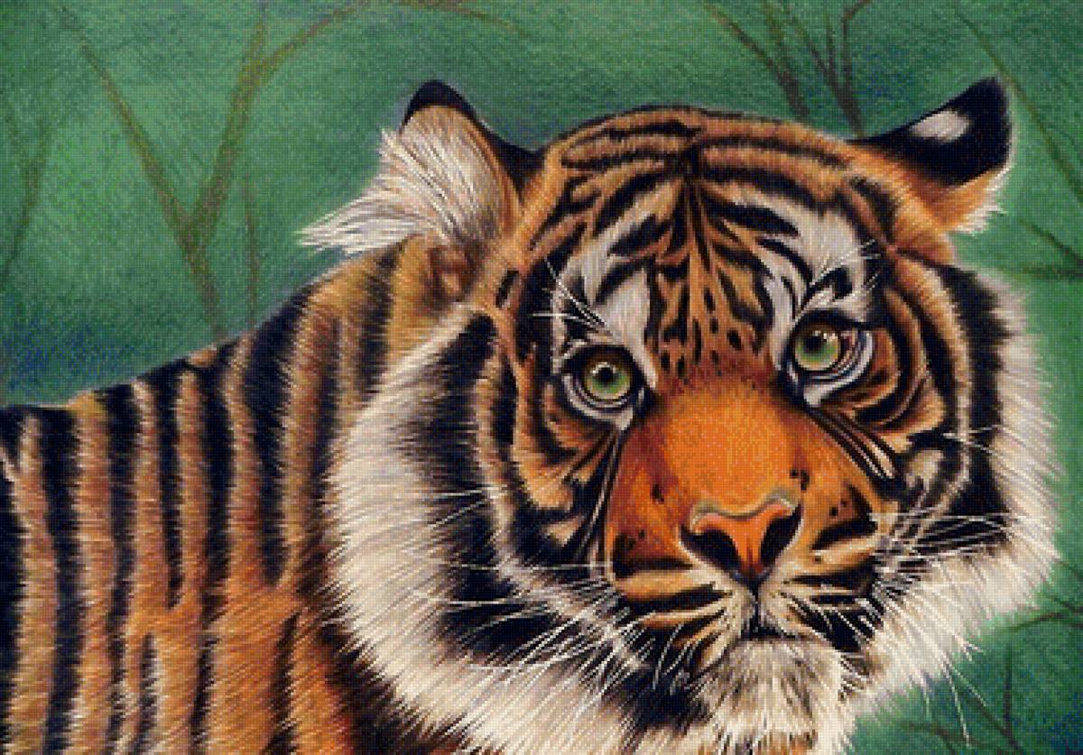 тигр - мир животных - предпросмотр