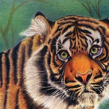 Схема вышивки «тигр»
