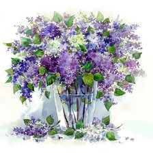 Схема вышивки «№1925394»