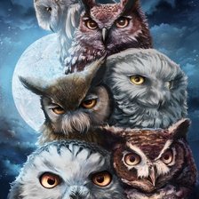 Схема вышивки «6 сов»