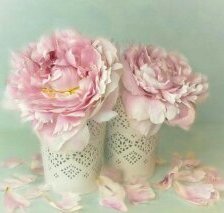 Схема вышивки «Пионы»