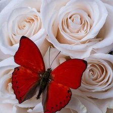 Схема вышивки «Розы»