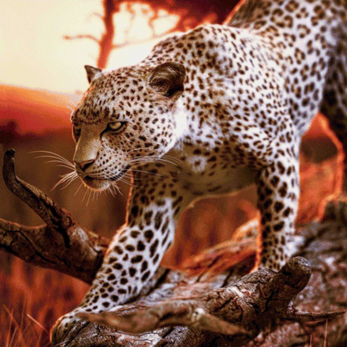 Леопард - животные, рисунок, леопард - предпросмотр