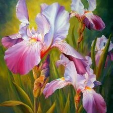 Схема вышивки «Ирисы»