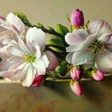 Схема вышивки «Цветы»