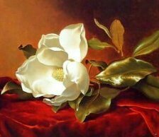 Схема вышивки «Магнолия»