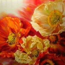 Схема вышивки «Маки»