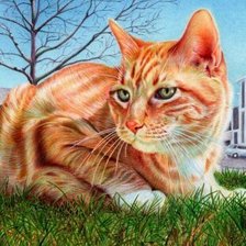 Схема вышивки «Кот»