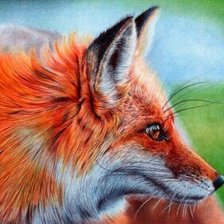 Схема вышивки «Лиса»