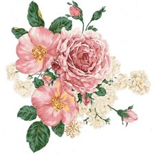 Схема вышивки «№1926008»