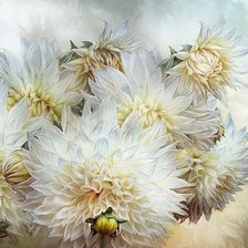 Схема вышивки «ГЕОРГИНЫ»