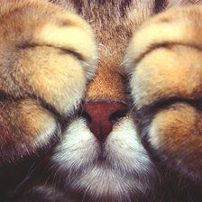 Схема вышивки «№1926394»