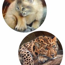 Схема вышивки «дикие»