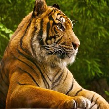 Схема вышивки «№1926562»