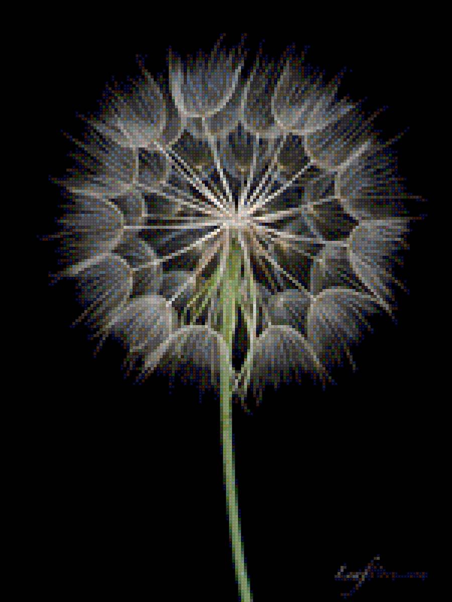 Кульбабка - одуванчик, круг, сфера, фон - предпросмотр