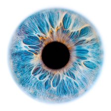 Схема вышивки «Око»